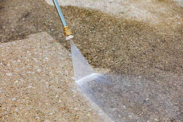 Best Animal Enclosure Cleaning  in High Bridge, NJ