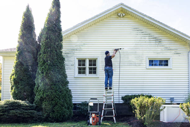 Best Graffiti Removal  in High Bridge, NJ